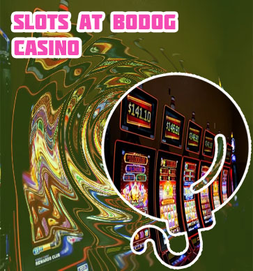 Bodog casino slots