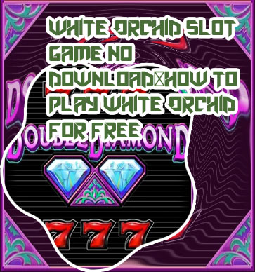 White orchid slots online free